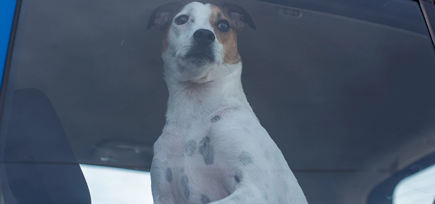 Car Lockout Solutions in West Rancho Dominguez, California